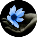 1ef67e1f8fb82050d55d14f6d74cb152