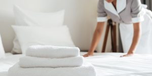 lavori di economia domestica