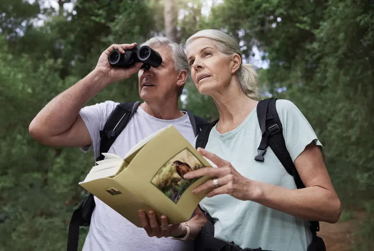 birdwatching osservazione degli uccelli beecare